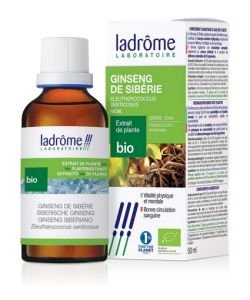 Ginseng de Sibérie - extrait de plante fraîche
